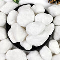 20lb White River Rocks 2-3 in Natural Pebbles for Landscaping - Snow