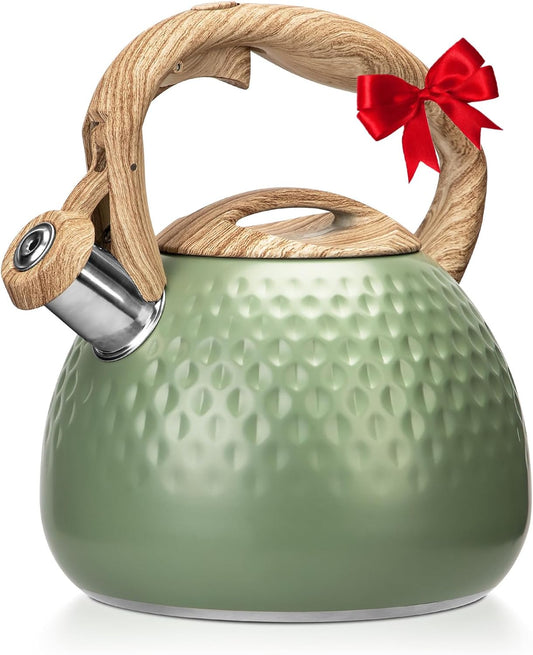 Stainless Steel Tea Kettle Stovetops for All Heat Sources