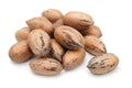 Anna and Sarah Premium Georgian Raw Fresh Pecans in Shell 9 Lbs