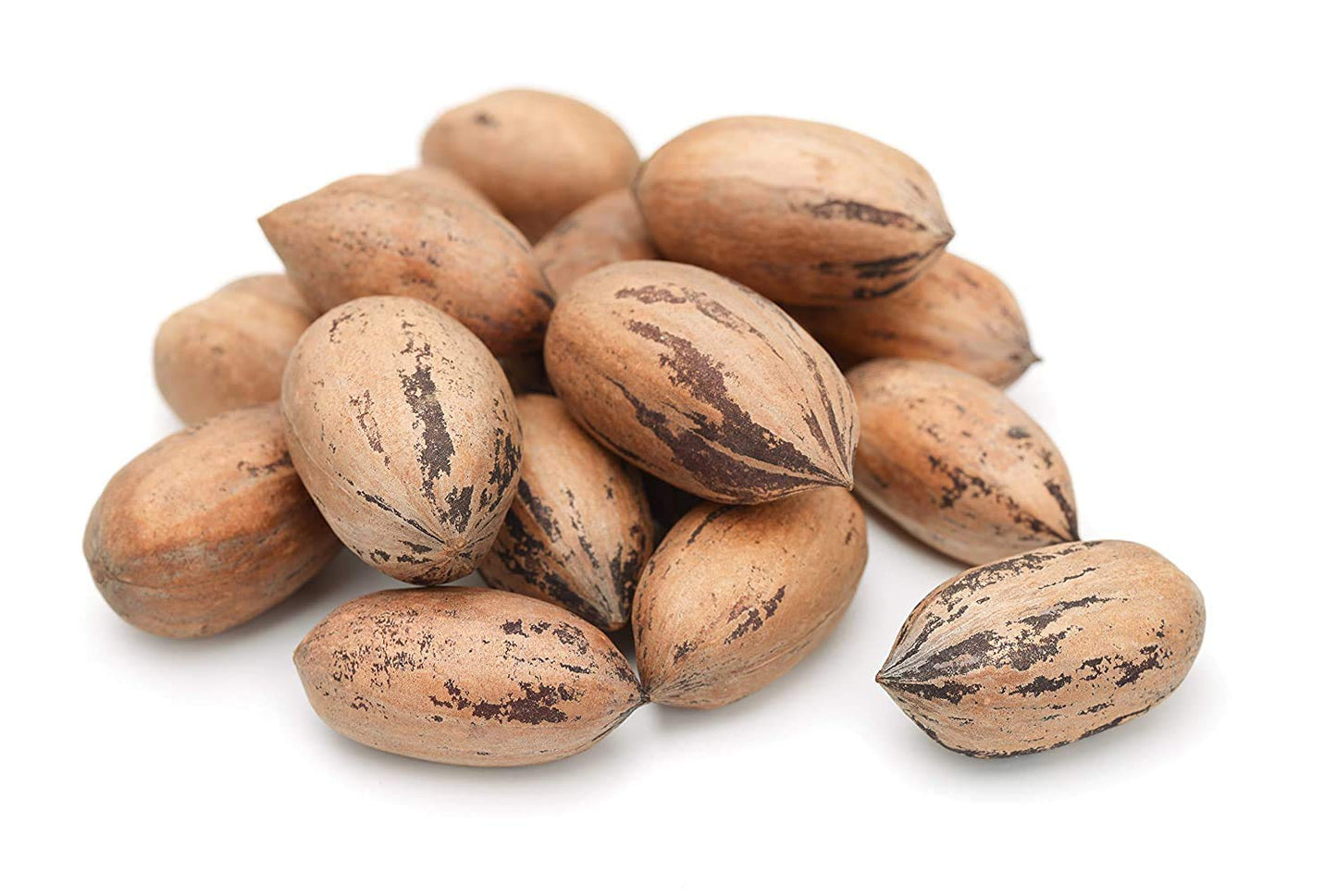 Premium Georgian Raw Fresh Pecans in Shell for Healthy Snacking