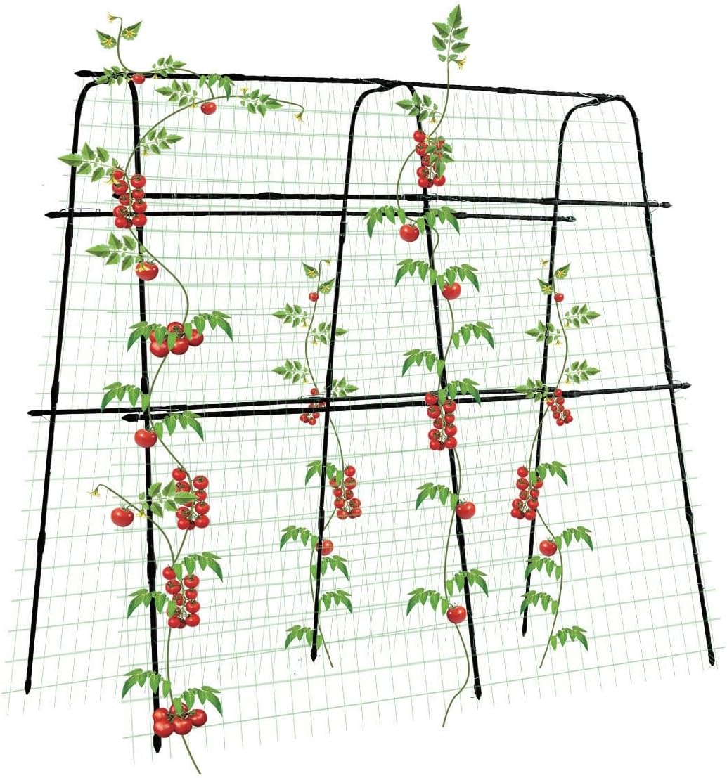 PKBD Tall Garden Arch Trellis for Climbing Plants Outdoor