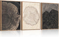 Beige Pastel Wood Tree Rings Framed Canvas Wall Art Set - Minimal