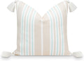 Hofdeco Premium Fall Coastal Patio Pillow Cover 18in - Weather