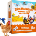 Dried Mealworms for Chickens & Birds Treats Bulk 5LB - High Protein
