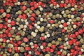 Viva Doria Rainbow Peppercorns Blend - Whole Peppercorns 25 lbs