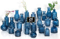 24PCS Mini Bud Vases for Tables - Clear Small Flower Vases Set