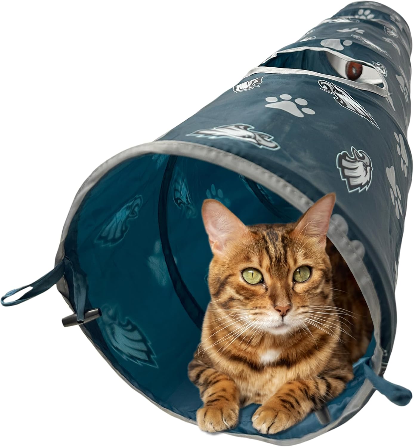 Interactive Philadelphia Eagles Cat Tunnel - Sporty & Fun!