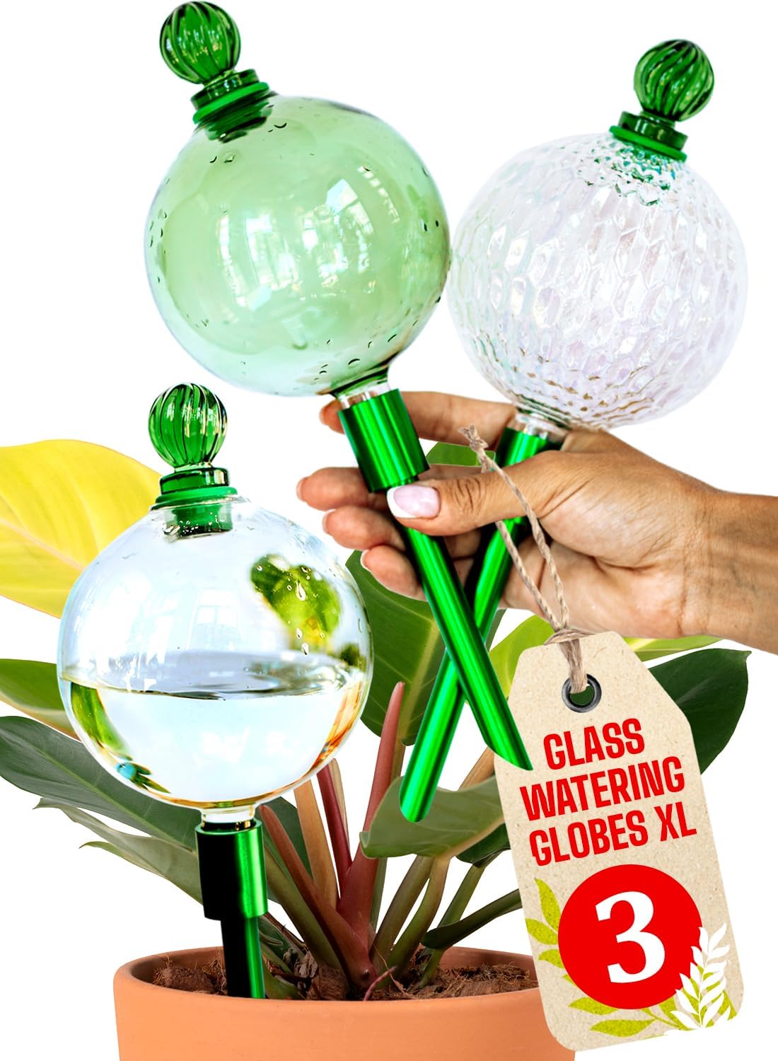 3pcs 16 Oz Plant Watering Globes for Indoor Plants - Premium XL