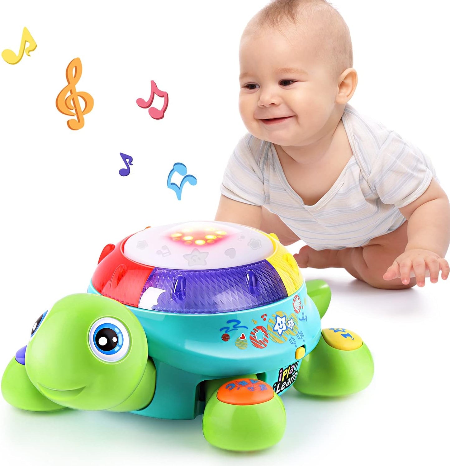 Bilingual Musical Turtle Toy for Infant Development