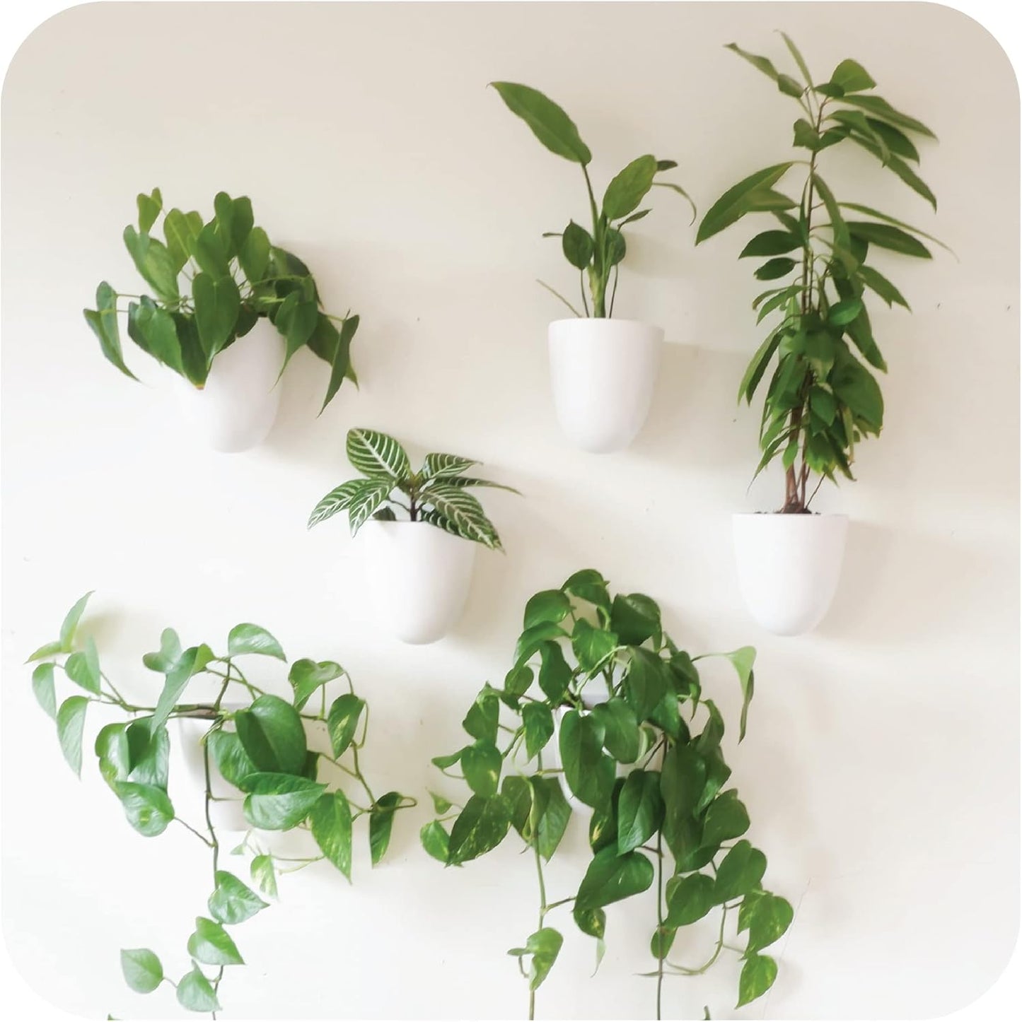 PlantPod Luxe Self-Watering Wall Planters for Vertical Gardens