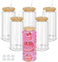 20 Oz Snow Globe Tumbler 6 Pack - Pre-Drilled Sublimation Glass Cups