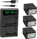 Kastar 3-Pack NP-FV100 Battery and USB Charger - High Capacity Power