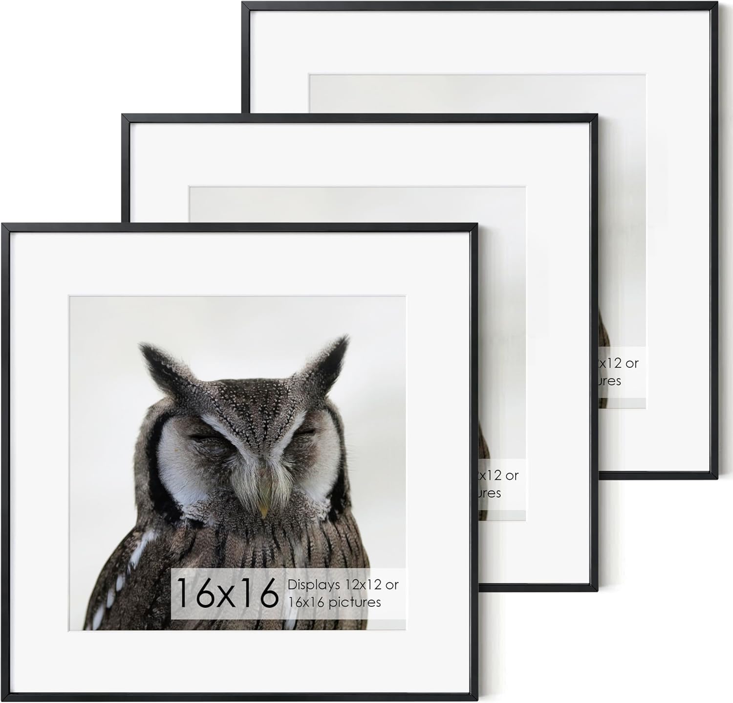 16x16 Metal Picture Frame Set of 3 with 12x12 Mat for Display