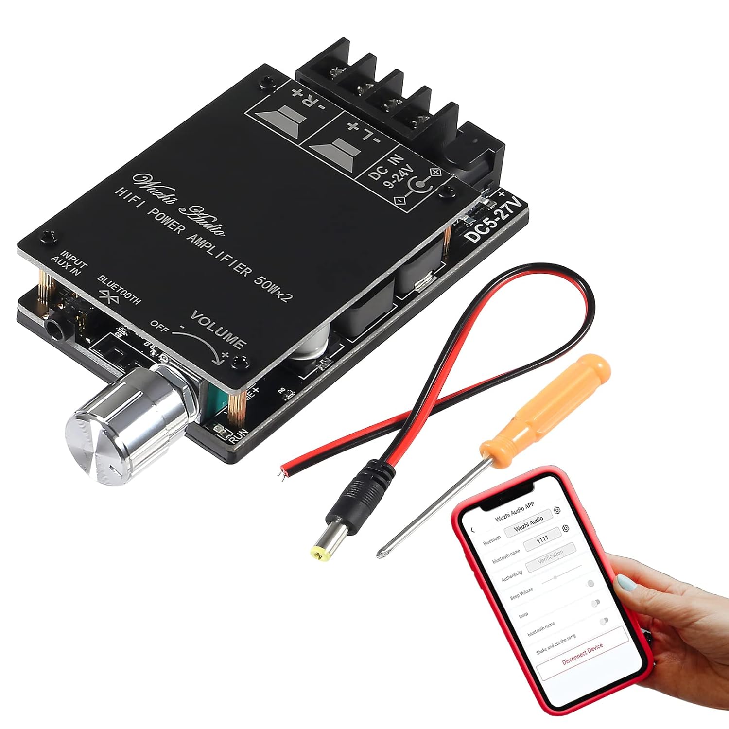 100w Bluetooth Amp Board, Easy Phone Connection, Diitao