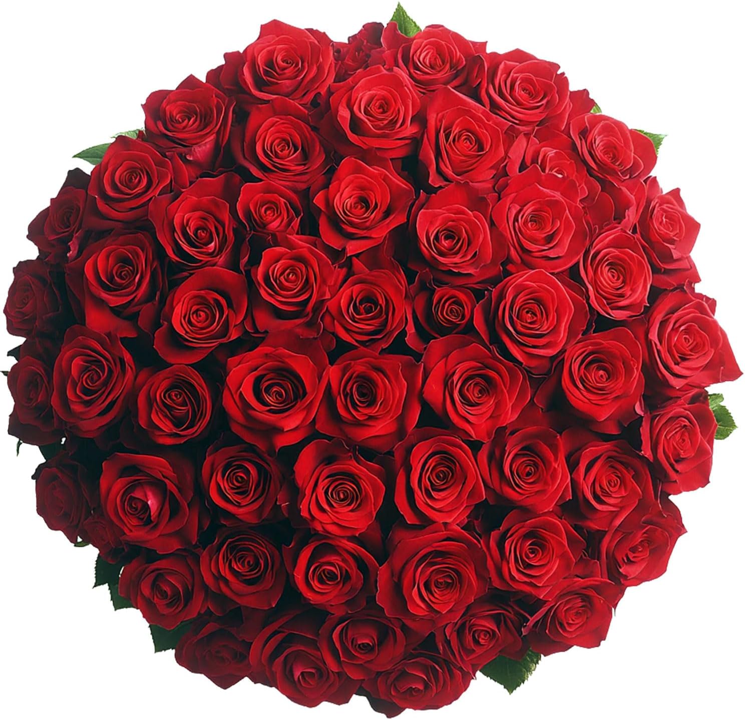 GlobalRose 75 Red Roses Bouquet - Fresh Flowers for Any Occasion