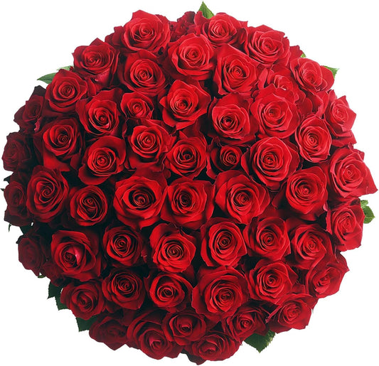 GlobalRose 75 Red Roses Bouquet - Fresh Flowers for Any Occasion