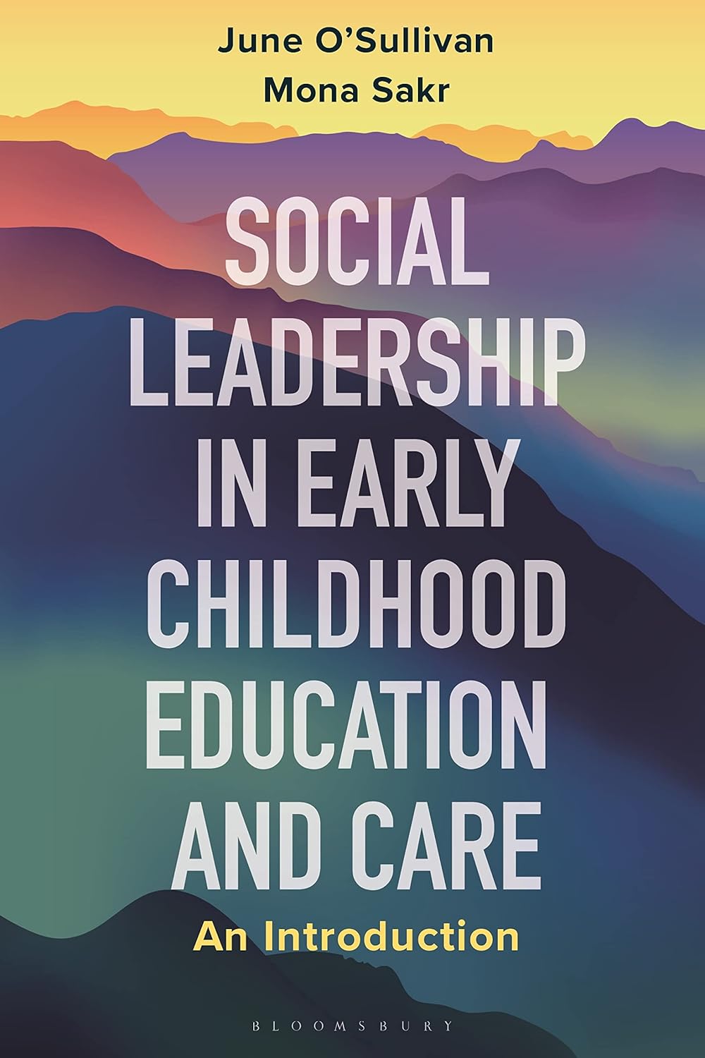 Social Leadership in Early Childhood Education and Care Basics