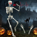 5.4ft Halloween Skeleton Full Size Posable Skeleton - Glowing Eyes