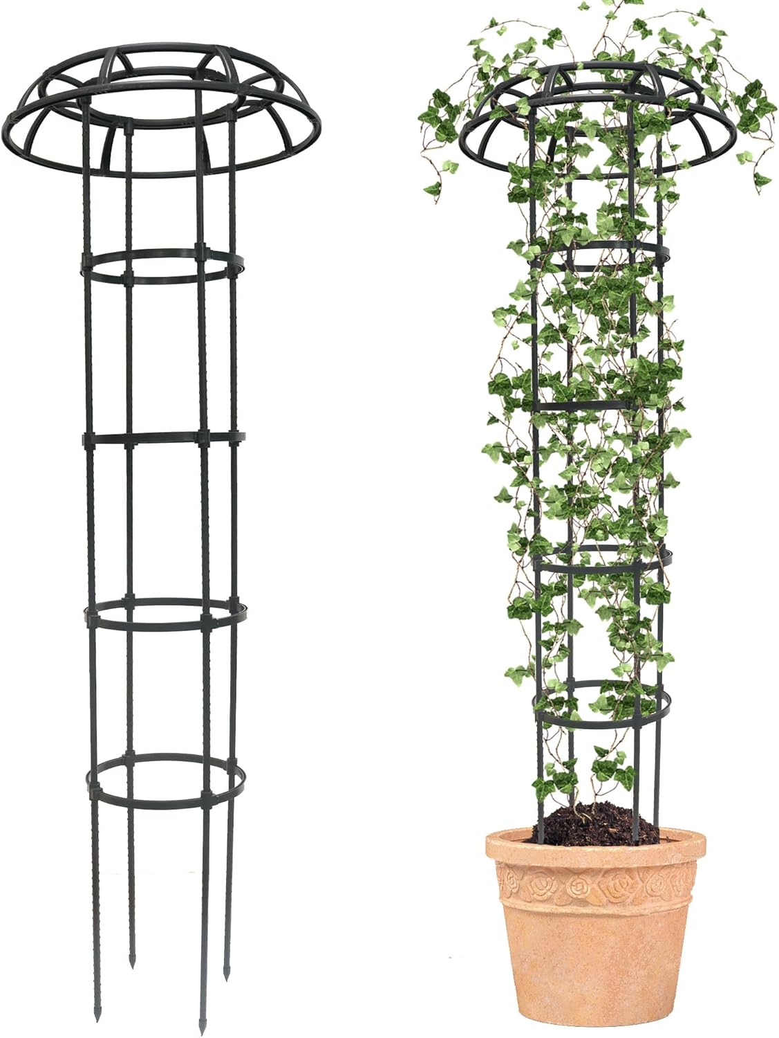 Garden Trellis for Climbing Plants - 65 Inch Support for Vines