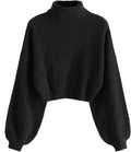 ZAFUL Crew Neck Long Sleeve Pullover Crop Sweater - Chic Everyday