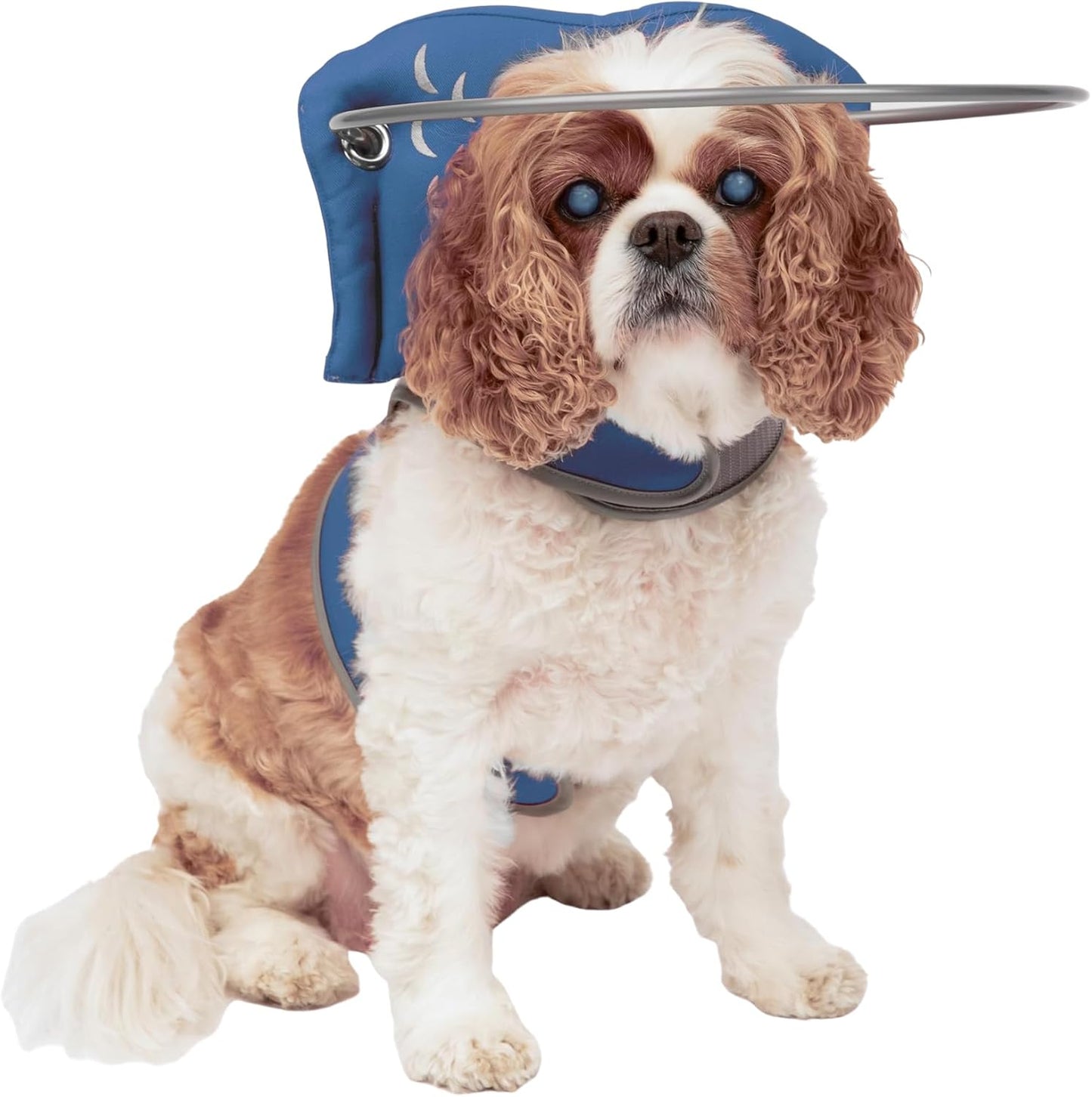 Muffins Halo Original Blind Dog Harness & Bumper Collar Accessory