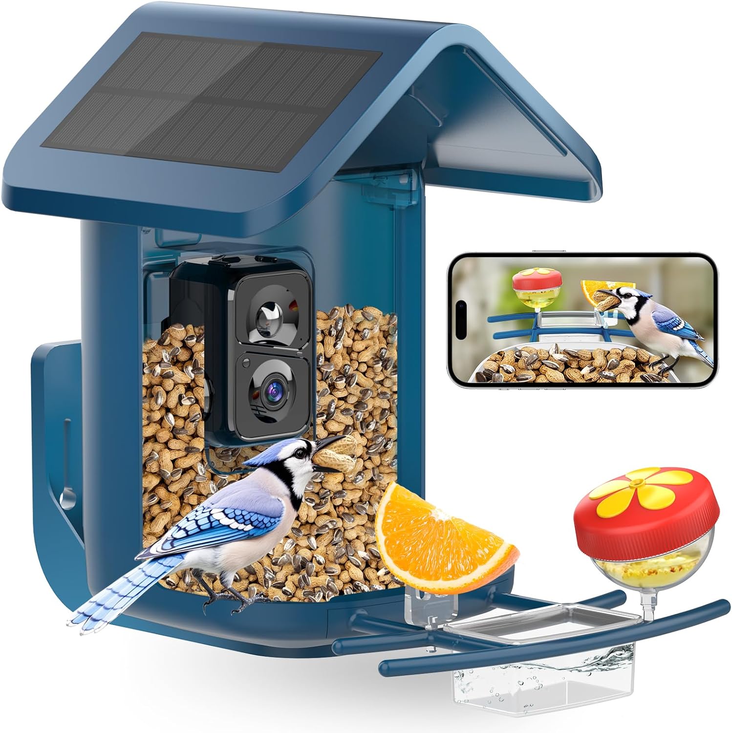 VIUBIRD: Smart Solar Bird Feeder with 2K Live Feed
