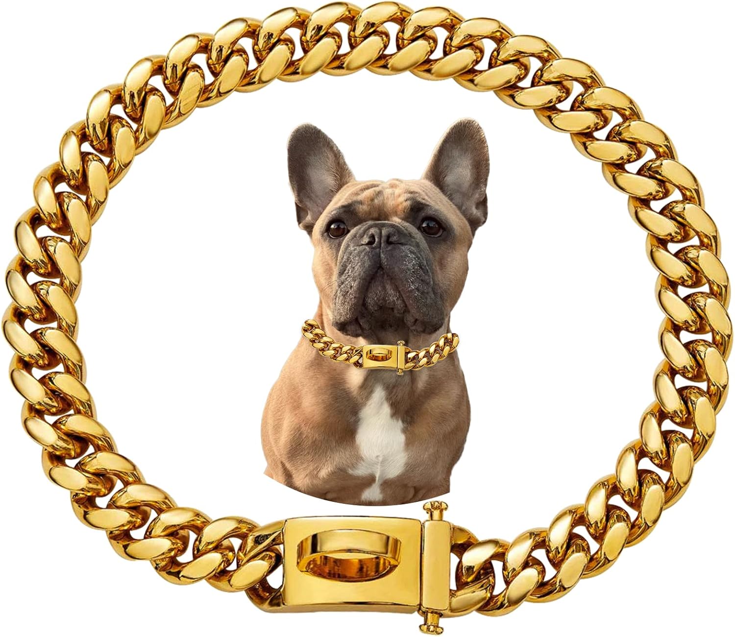 Stainless Steel Gold Chain Dog Collar for Medium Large Dogs