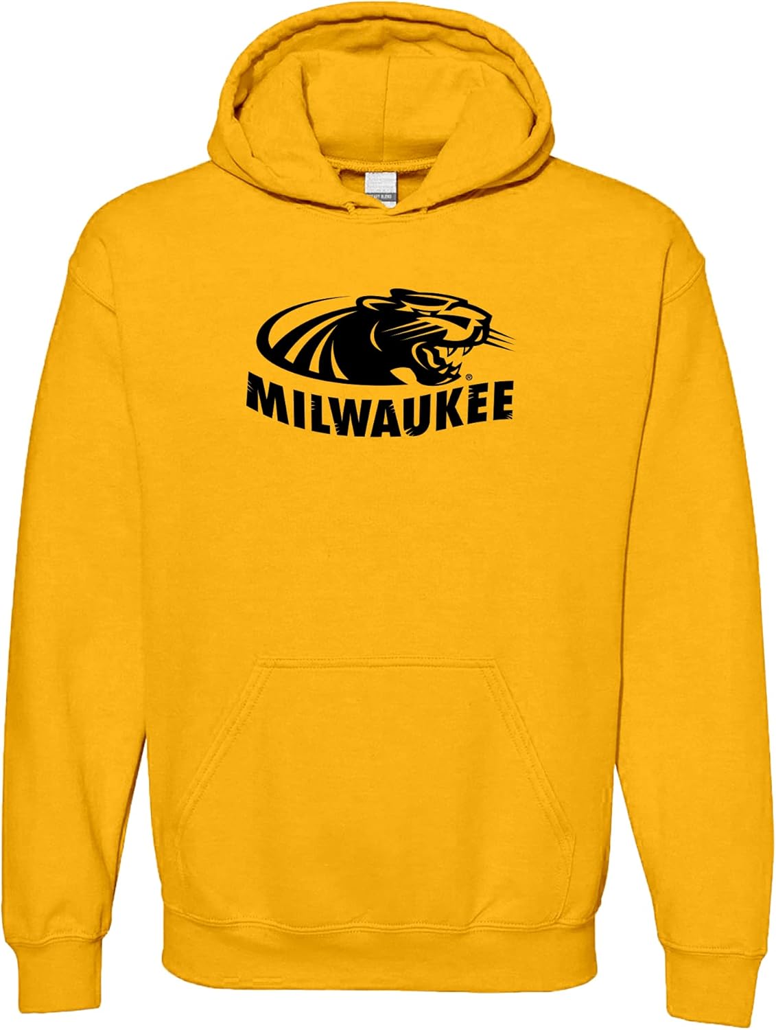 UGP Campus Apparel NCAA Primary Logo Hoodie for School Spirit