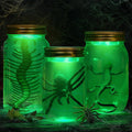 Specimen Jars Halloween Decorations - 3 PCS DIY Light-up Jars