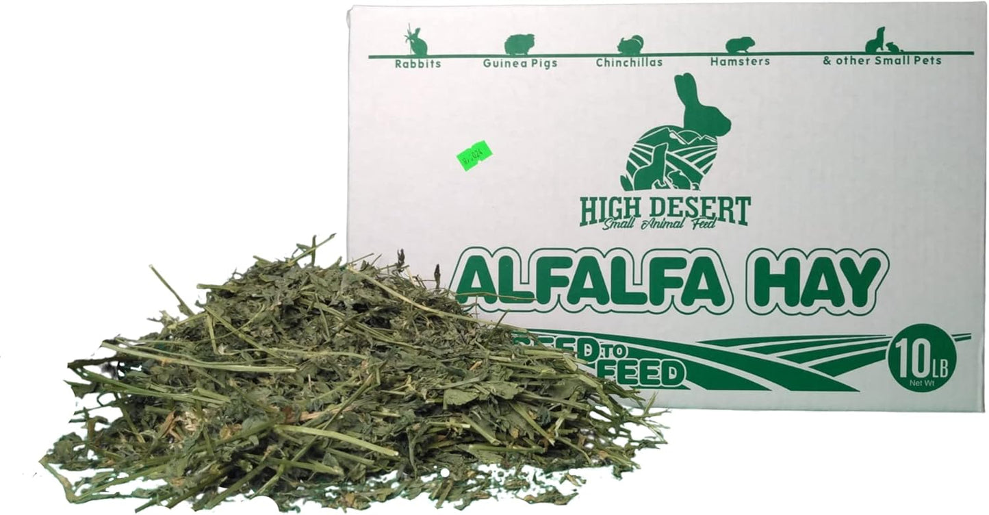 High Desert Alfalfa Hay for Small Pets - Protein-Rich Nutrition