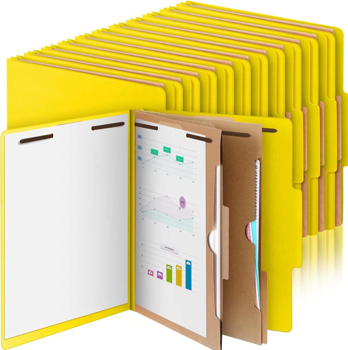 24 Pcs Classification Folders for Effective Document Organization