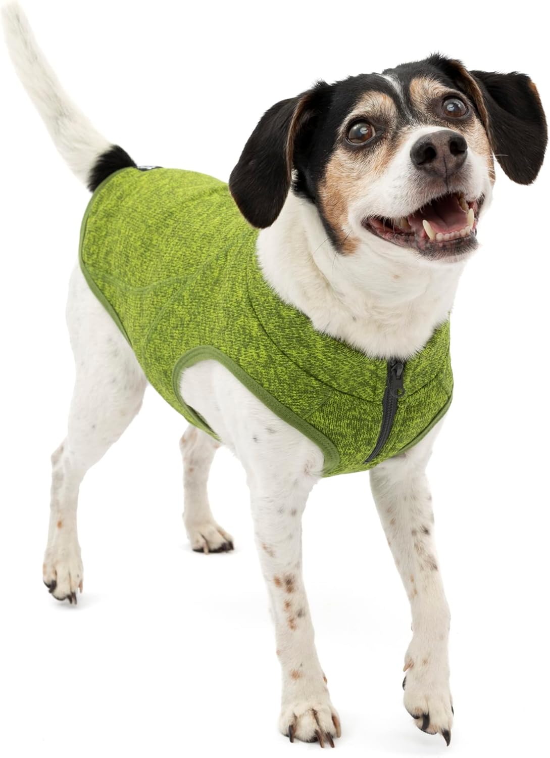 Kurgo Core Dog Sweater with Fleece Lining for Small Dogs