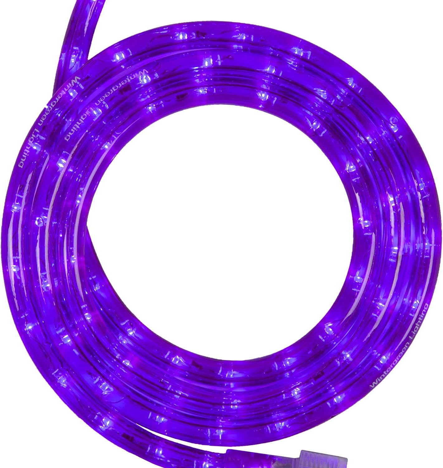 LED Purple Rope Light for Halloween by Wintergreen Lighting