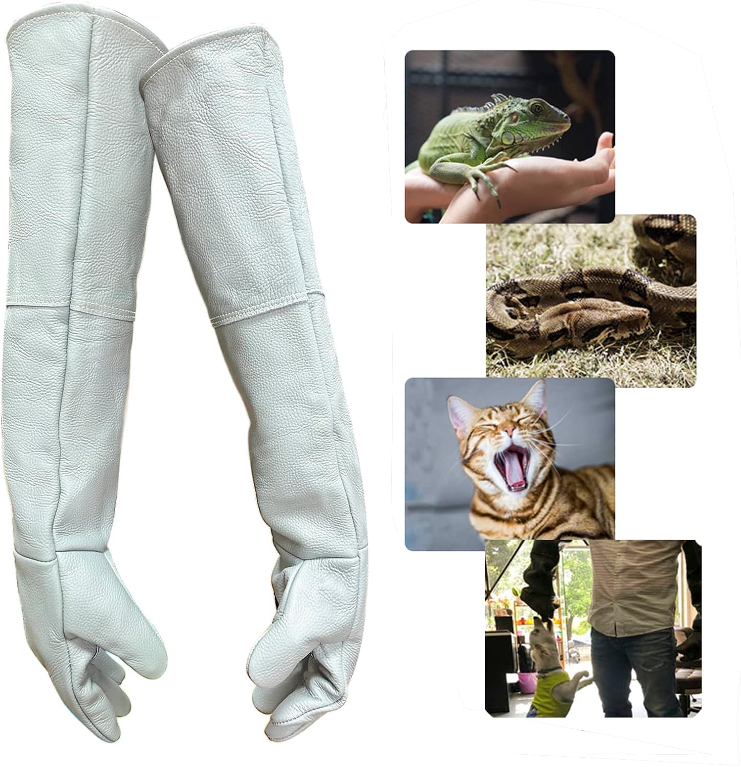 Bite Proof Gloves for Safe Animal Handling
