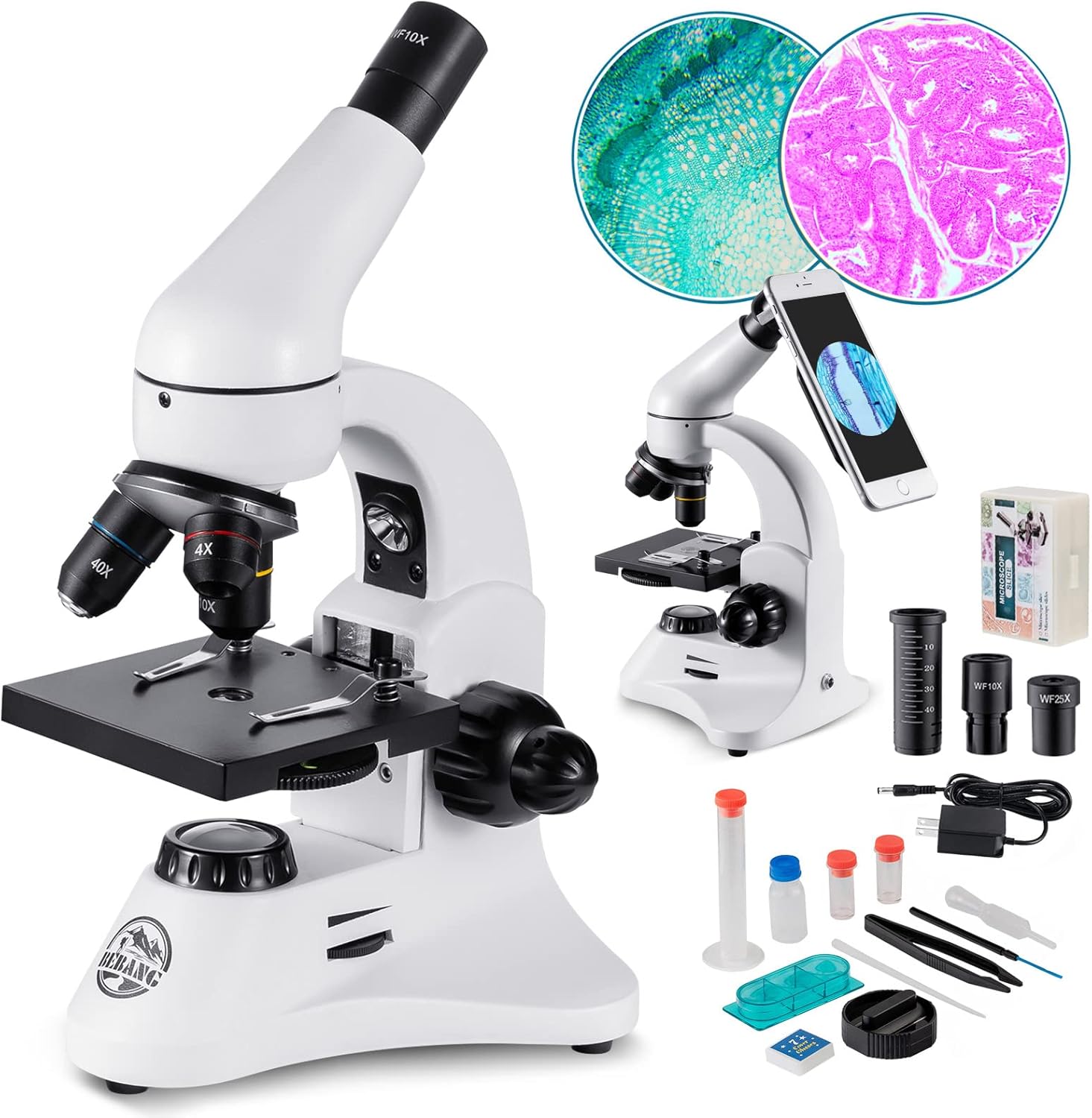 100X-2000X Microscope for Adults - Professional Optical Tool