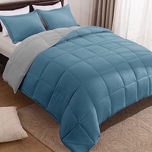 Basic Beyond Blue Comforter Set Queen Size - Lightweight & Soft