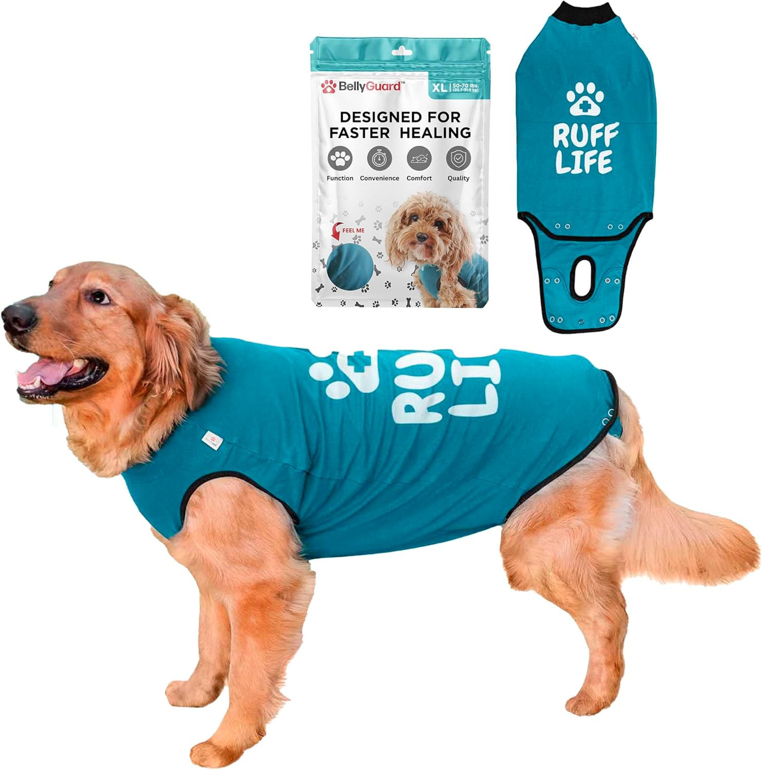 BellyGuard Recovery Suit for Dogs - Comfy Post-Op Care Onesie