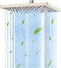 Hibbent Thickness Metal 10in High Pressure Rain Shower Head - Brushed