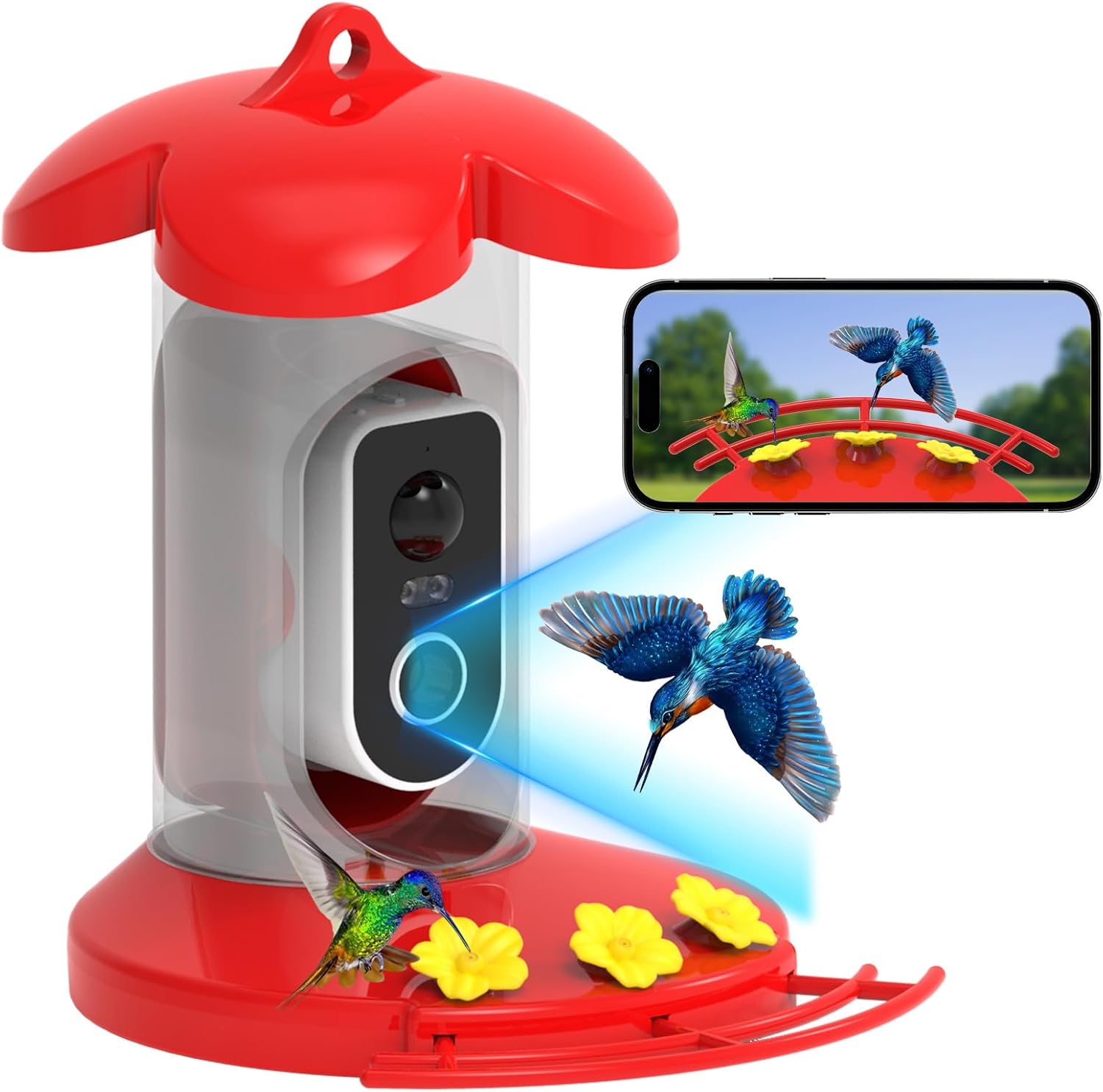 Hummingbird Feeder with Camera - 2K QHD Video & Notifications