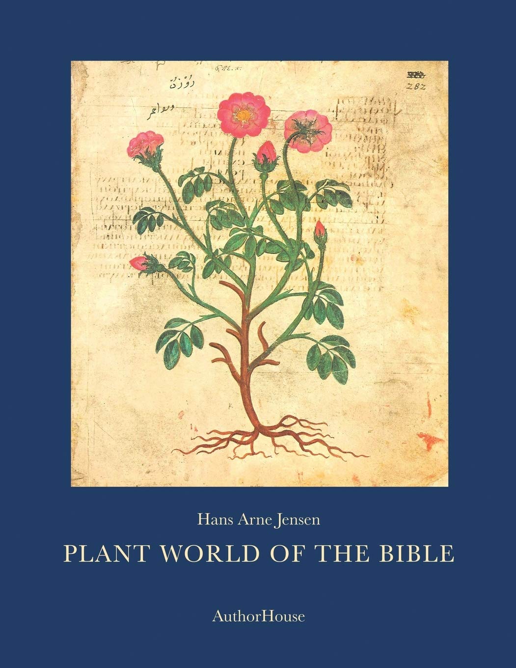 Plant World of the Bible: Discover Ancient Flora and Fauna