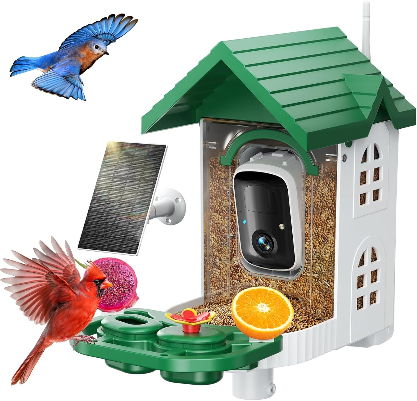 Smart Bird Feeder with Camera for Bird Lovers and Families