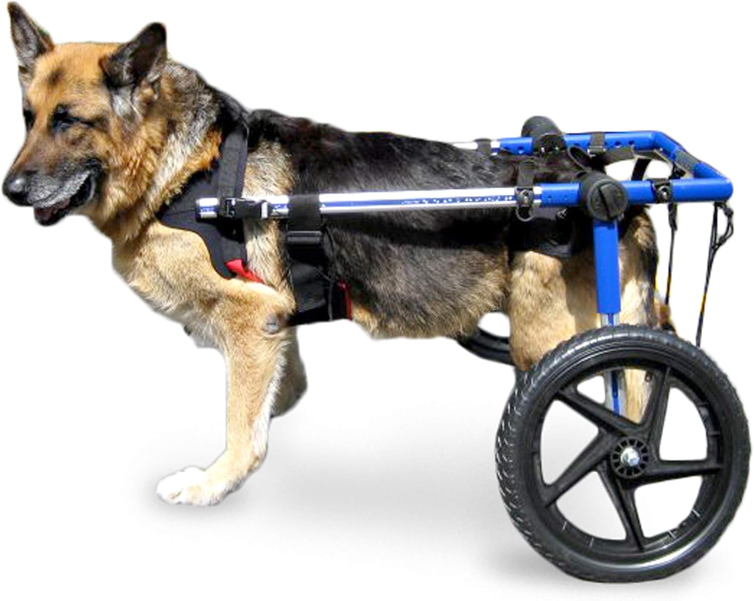 Walkin Wheels Dog Wheelchair for Large Dogs 70-180 Pounds