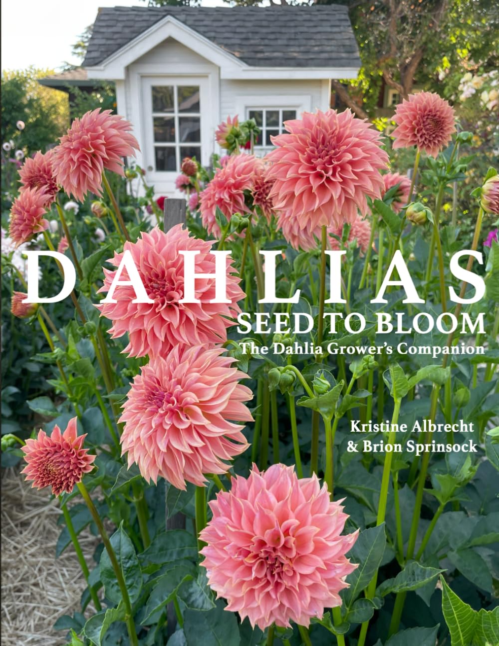 Dahlias: Seed to Bloom - The Ultimate Dahlia Grower's Companion