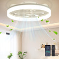 Ceiling Fans with Lights and Remote Fandelier - White 20in Low Profile