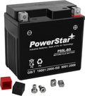 PowerStar GTX5L-BS YTX5L-BS Battery 12V 4Ah - Compact OEM Replacement