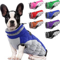 Blue Small Dog Coat with Turtleneck - Warm Waterproof Winter Vest