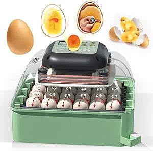 Chicken Egg Incubator with Automatic Turning and Humidity Control