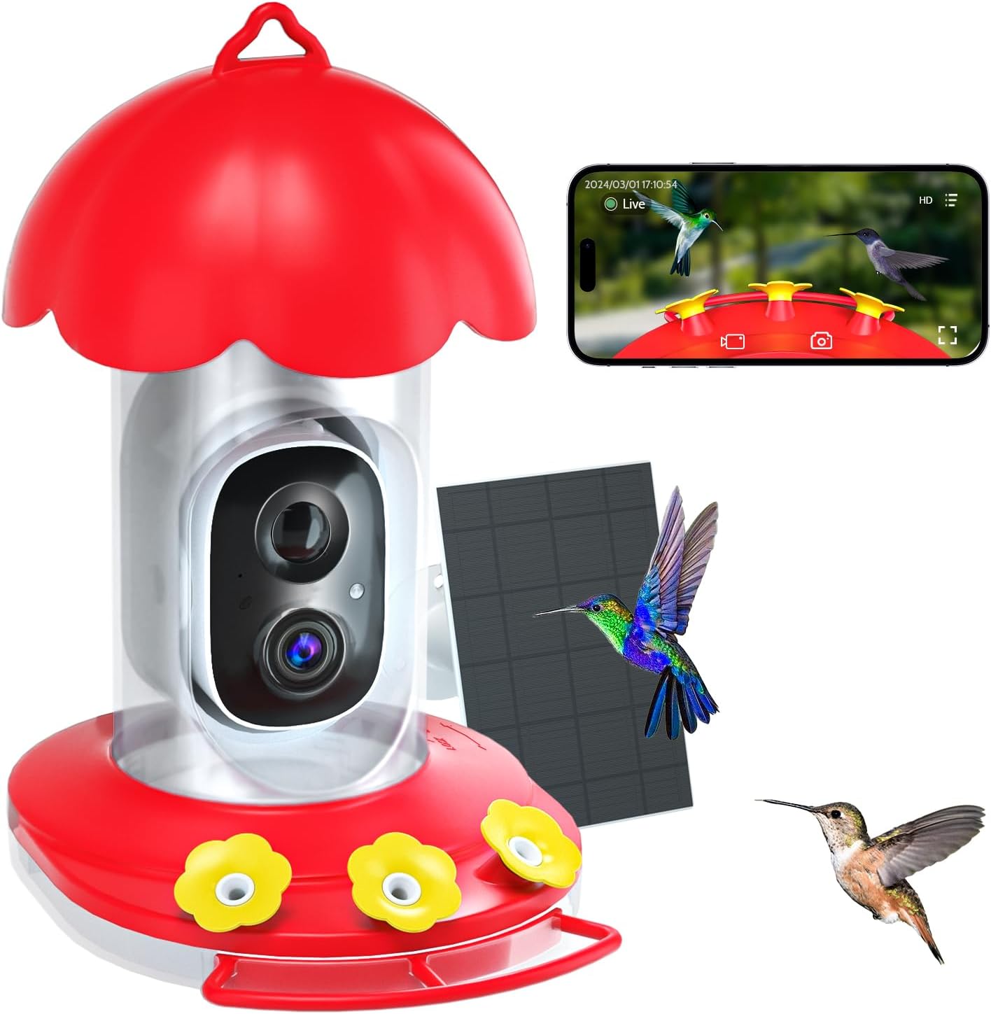 2K Camera Hummingbird Feeder - Bird-Watching Joy!