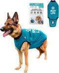 BellyGuard Recovery Suit for Dogs - Comfy Post-Op Care Onesie
