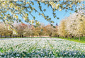 Spring Flowers Scenery Backdrop 10x8ft - Realistic Meadow for Photos